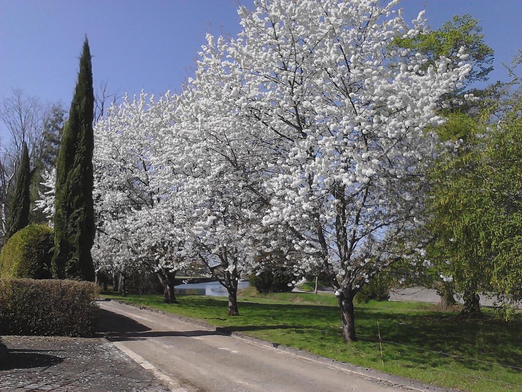 Chateau Du Bourbet Cherval エクステリア 写真